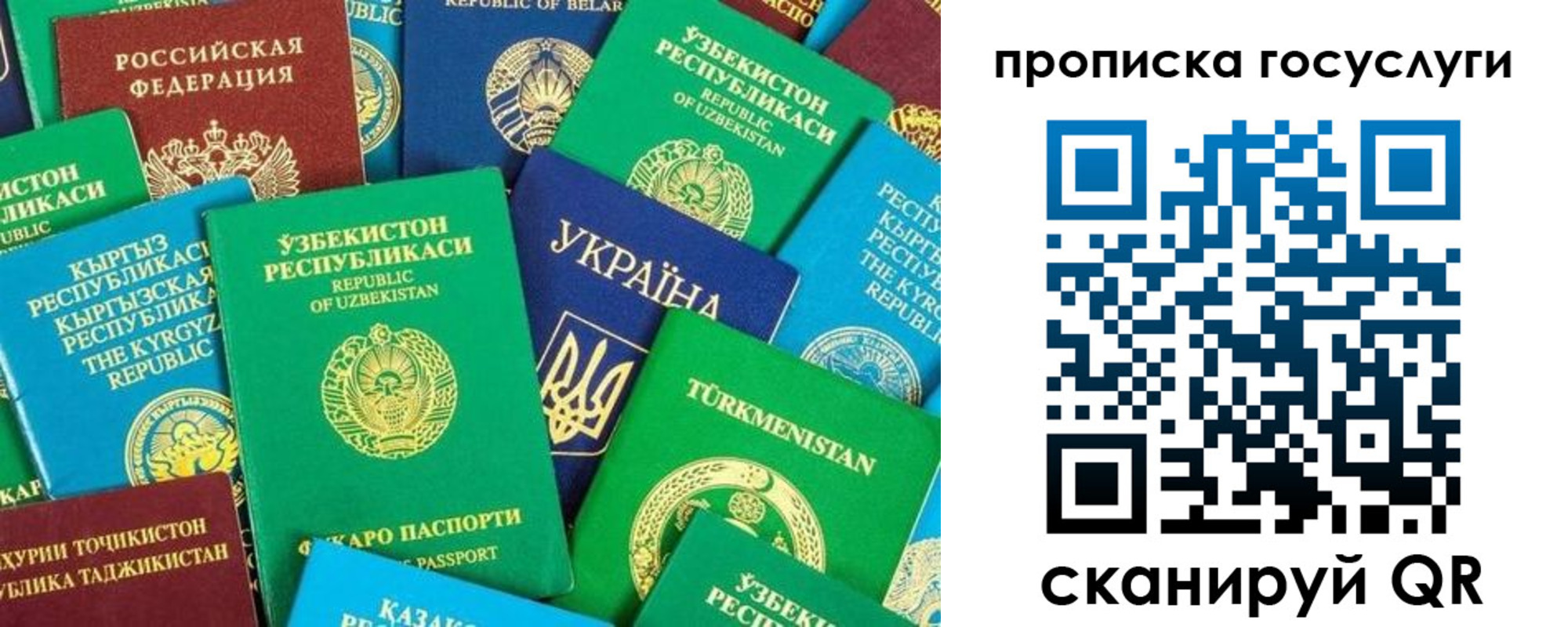 временная регистрация для всех в Шумихе